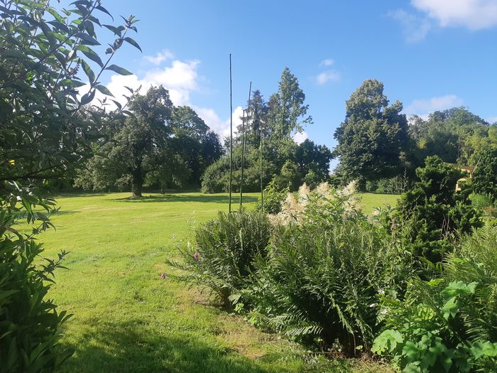 Le jardin en été, pelouse et massifs fleuris