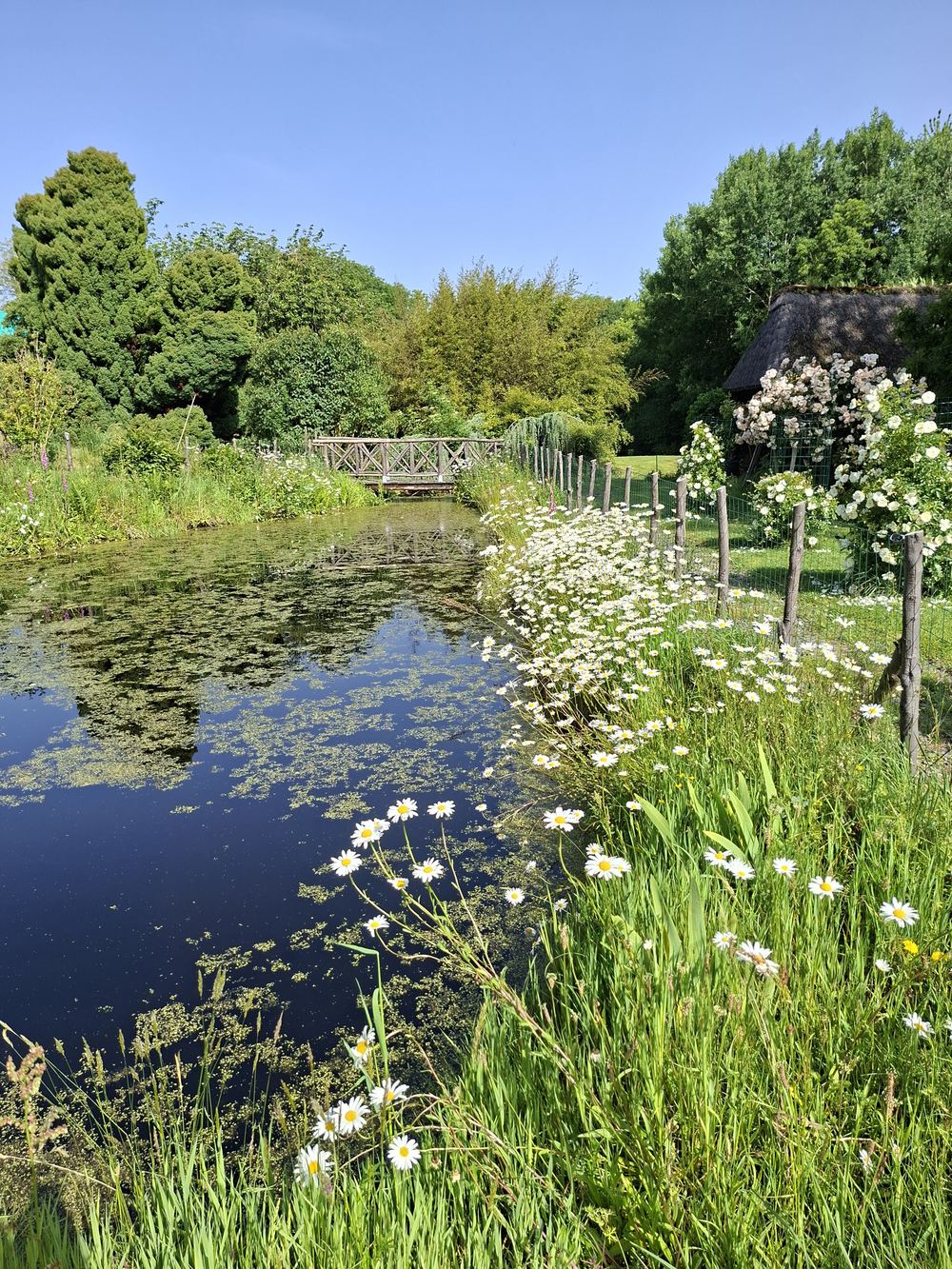 Le plan d'eau vu depuis le sous-bois, avec sa passerelle en bois