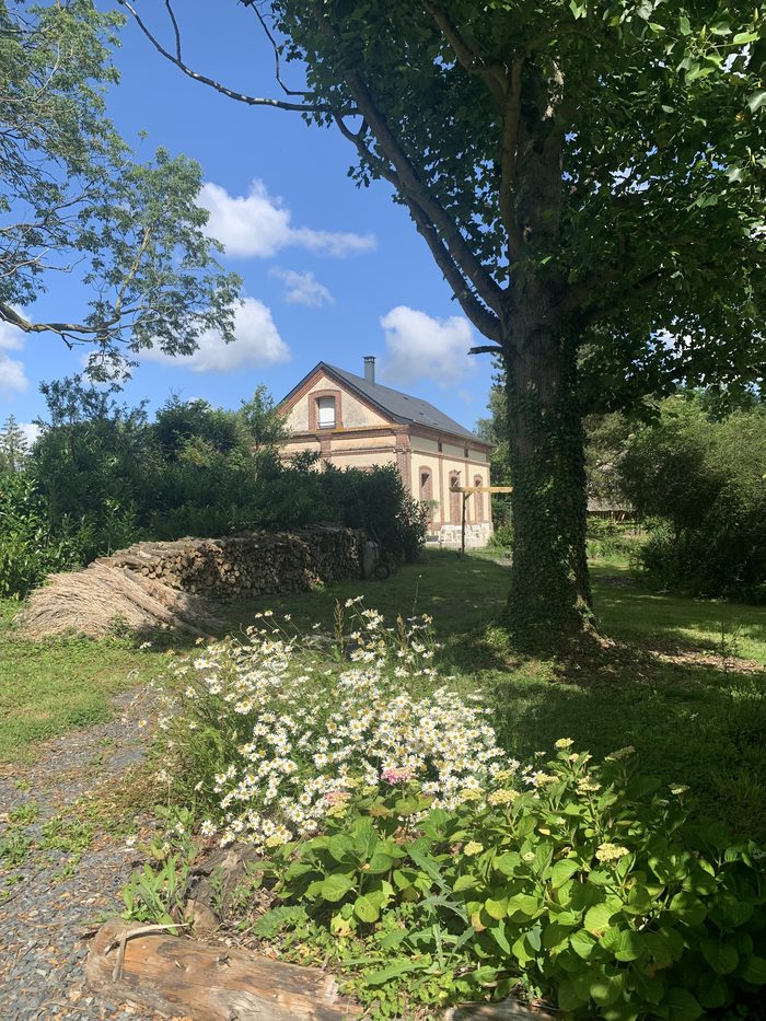 La réserve de bois de chauffage bordée de marguerites, près de la grange