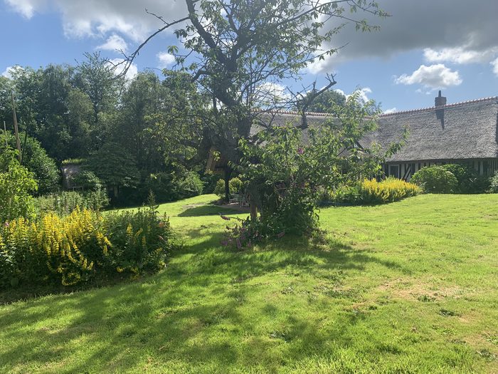 Le jardin sous le vieux pommier, avec sa cabane à oiseaux et vue sur la chaumière